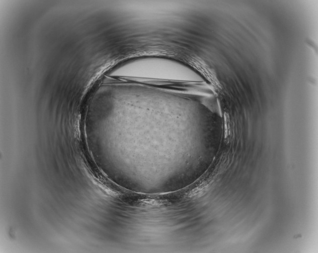 X0000096420300200802071709