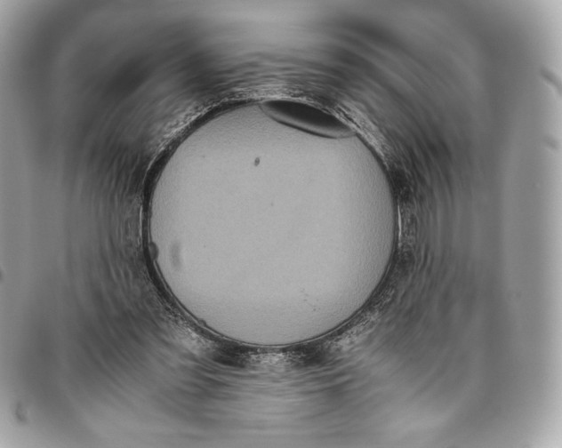 X0000096420301200802071709