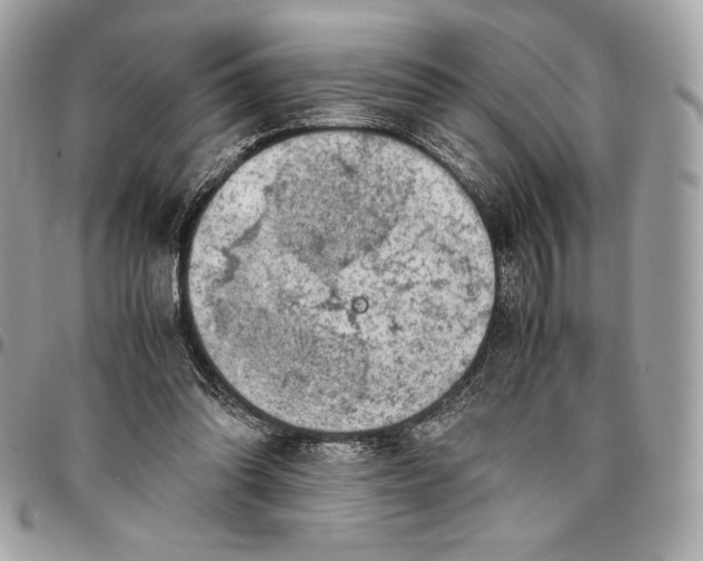 X0000096420302200802071709