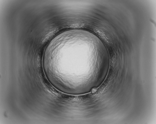 X0000096420303200802071709