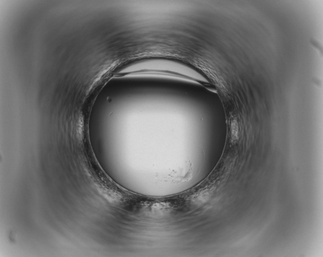 X0000096420304200802071709