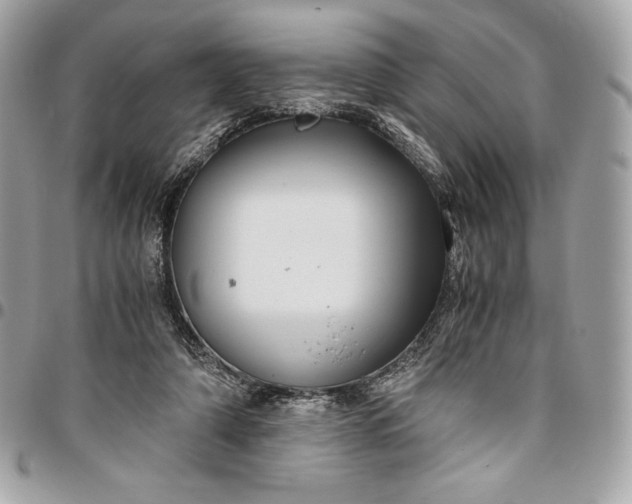 X0000096420306200802071709