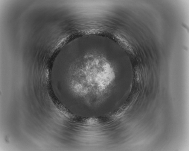 X0000096420308200802071709