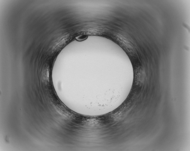 X0000096420310200802071709