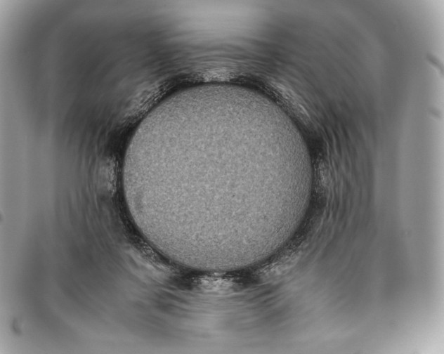 X0000096420311200802071709