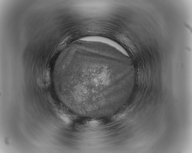 X0000096420312200802071709