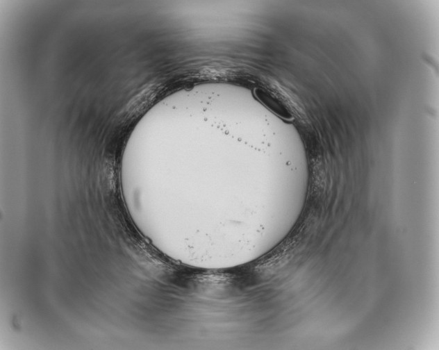 X0000096420313200802071709