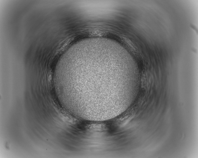 X0000096420314200802071709