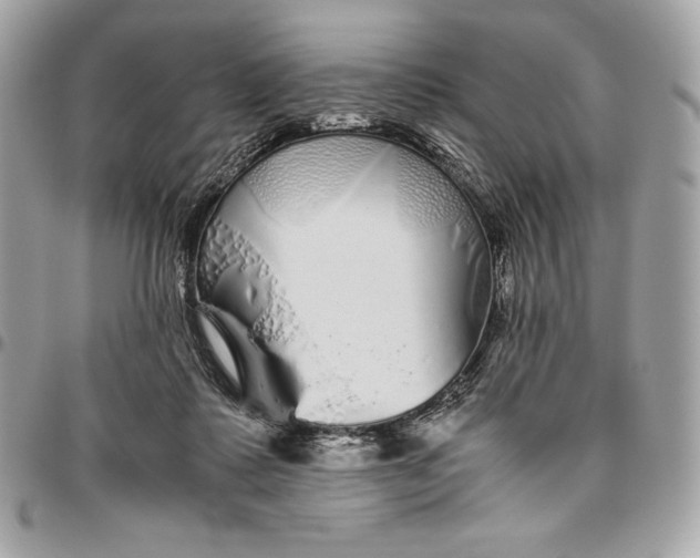 X0000096420315200802071709