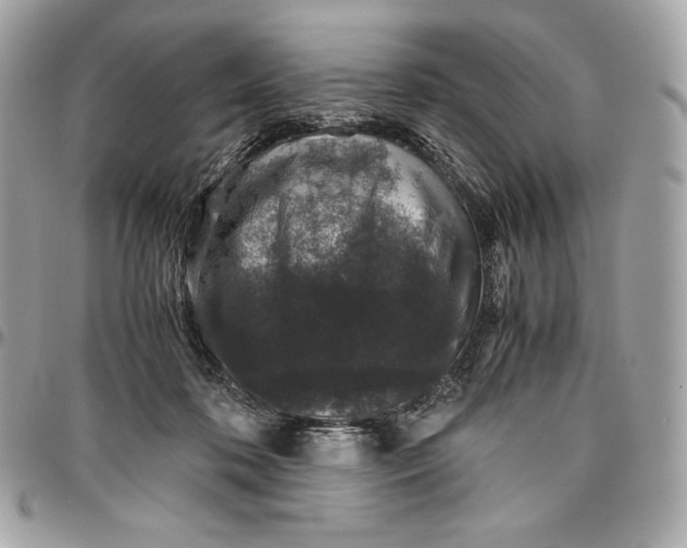 X0000096420316200802071709