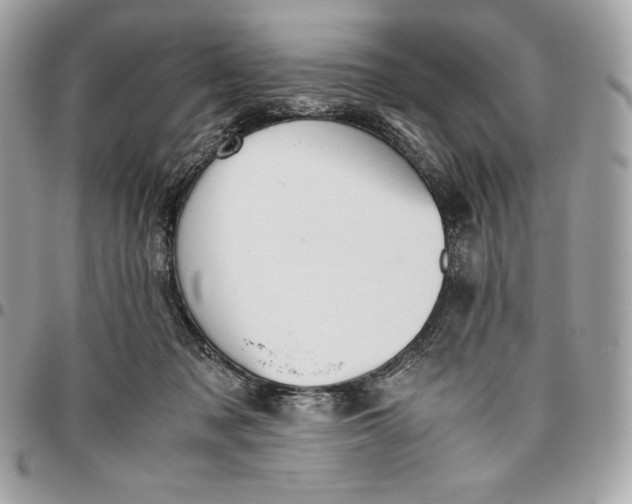 X0000096420317200802071708