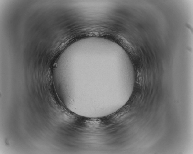 X0000096420318200802071708