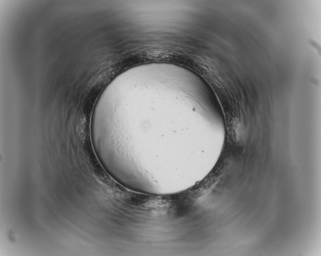 X0000096420319200802071708