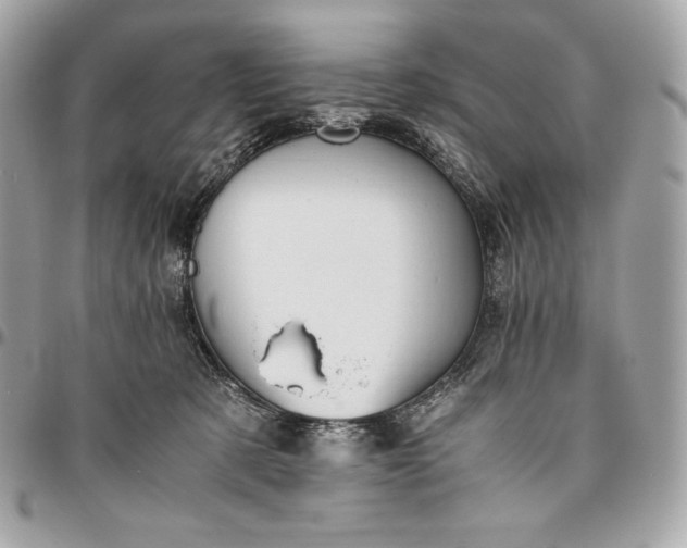 X0000096420321200802071708