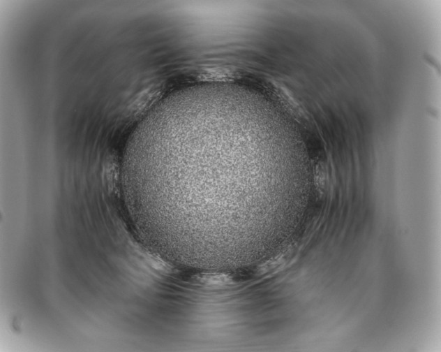 X0000096420322200802071708