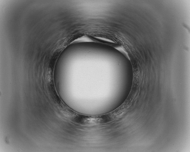 X0000096420323200802071708