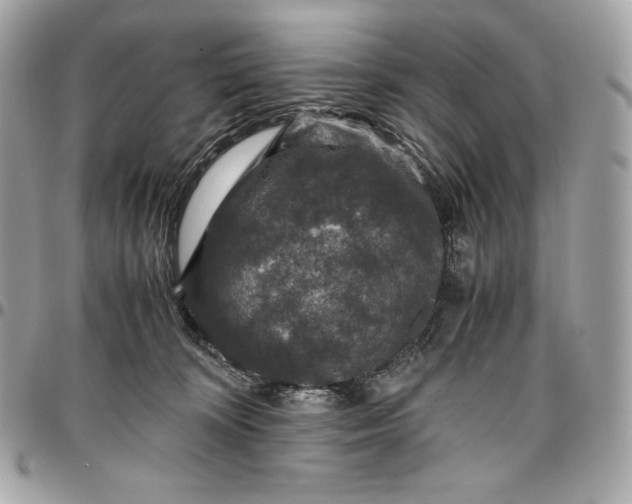 X0000096420324200802071708