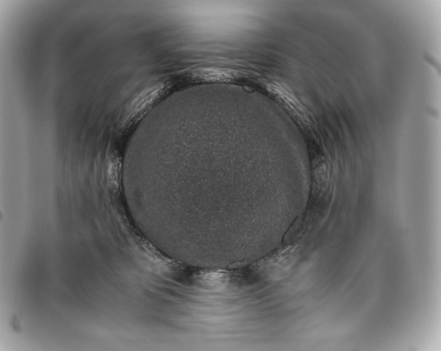 X0000096420325200802071708