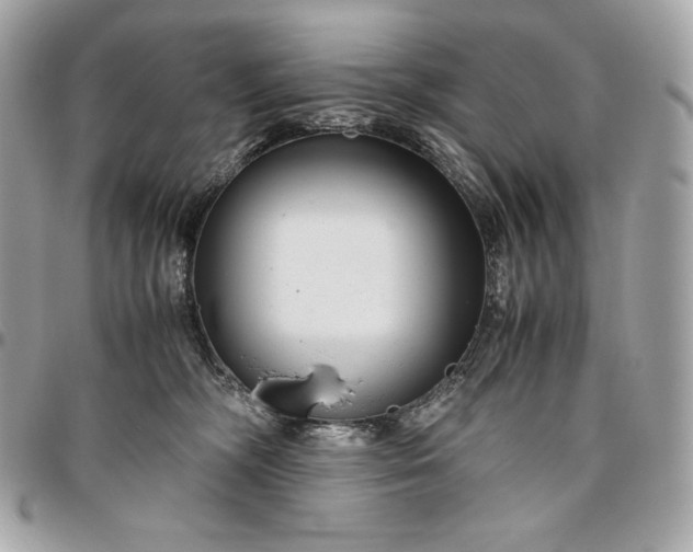 X0000096420326200802071708