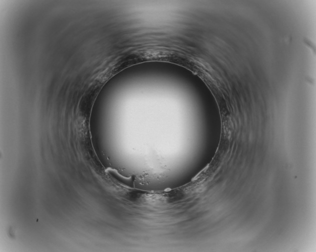 X0000096420327200802071708