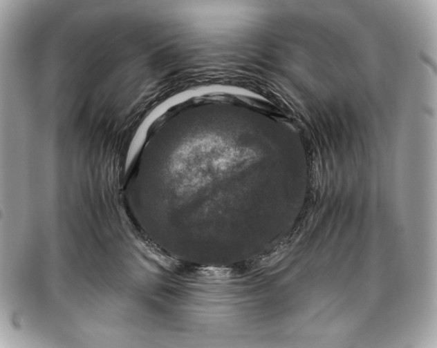 X0000096420328200802071708