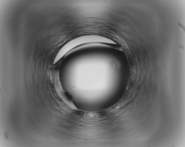 X0000096420329200802071708