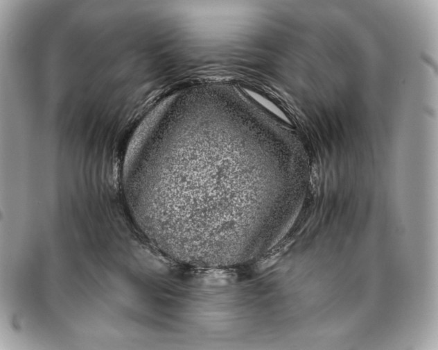 X0000096420330200802071708