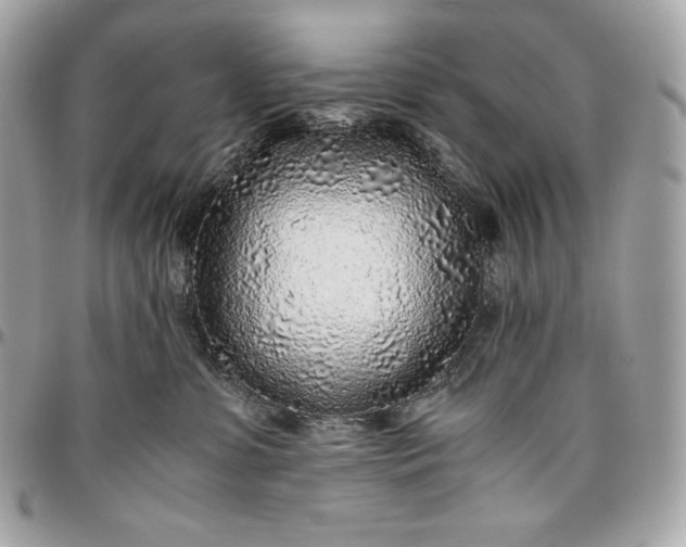 X0000096420331200802071708