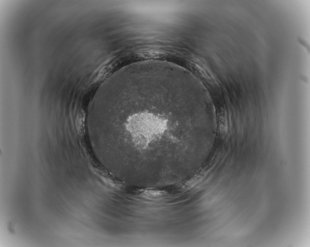 X0000096420332200802071708