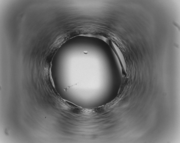 X0000096420333200802071708