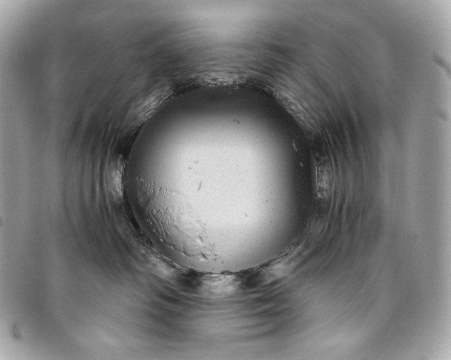 X0000096420334200802071708