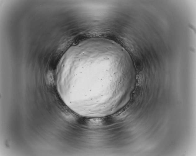 X0000096420335200802071708