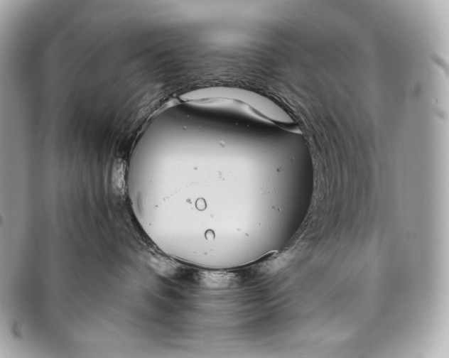 X0000096420336200802071708