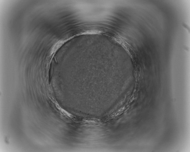 X0000096420337200802071708