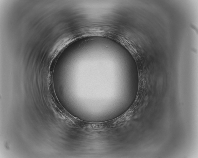 X0000096420338200802071708