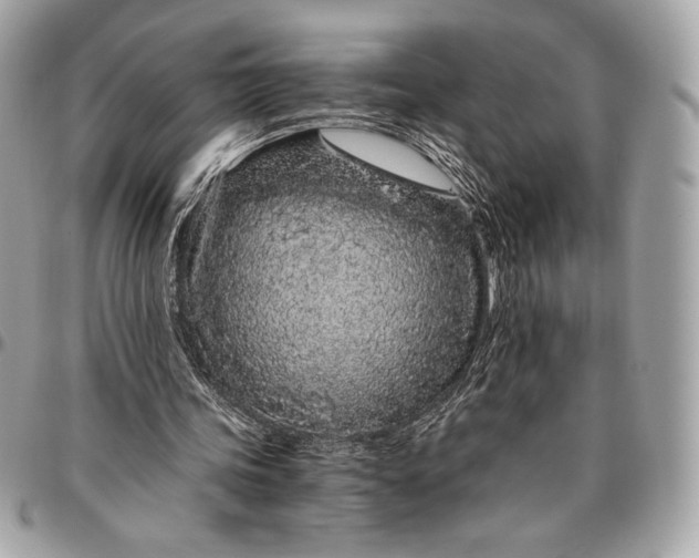 X0000096420339200802071708