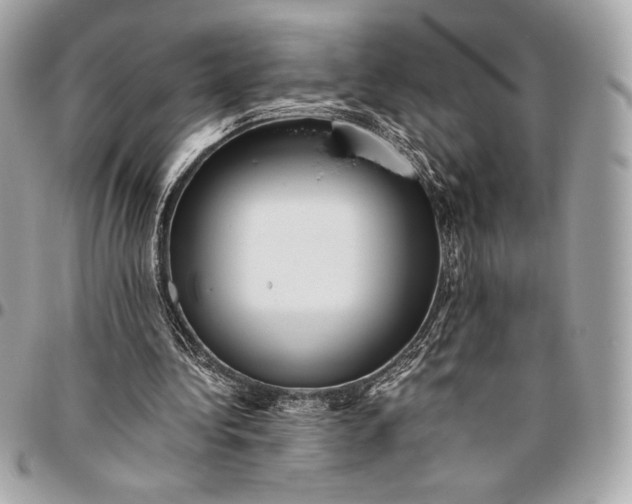 X0000096420340200802071708