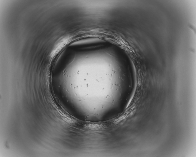 X0000096420341200802071708