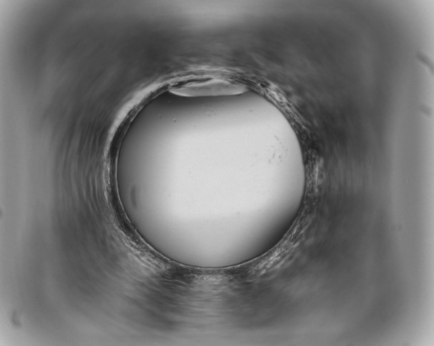 X0000096420342200802071708