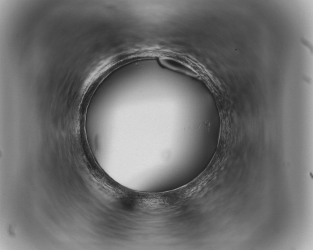 X0000096420344200802071708