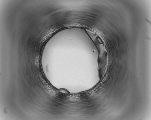 X0000096420345200802071708