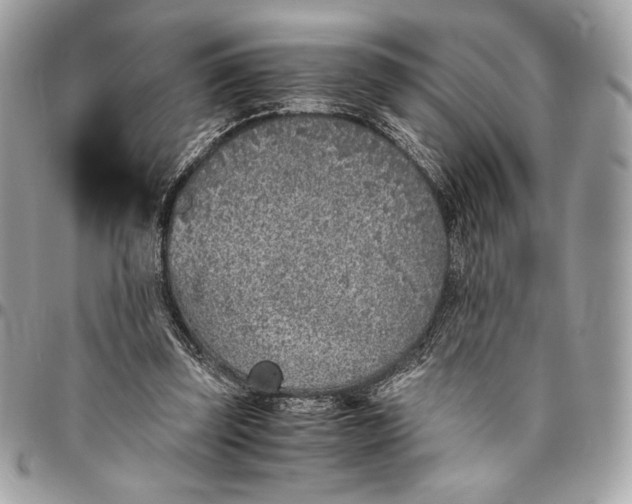 X0000096420347200802071708