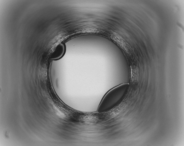 X0000096420348200802071708