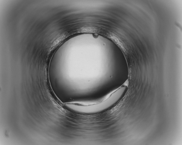 X0000096420349200802071708