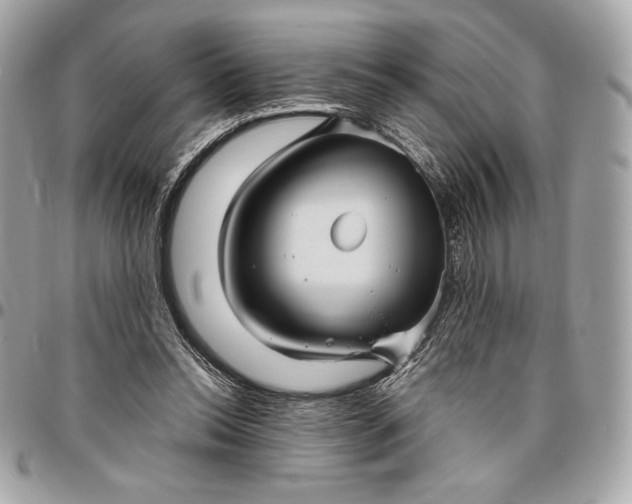 X0000096420350200802071708