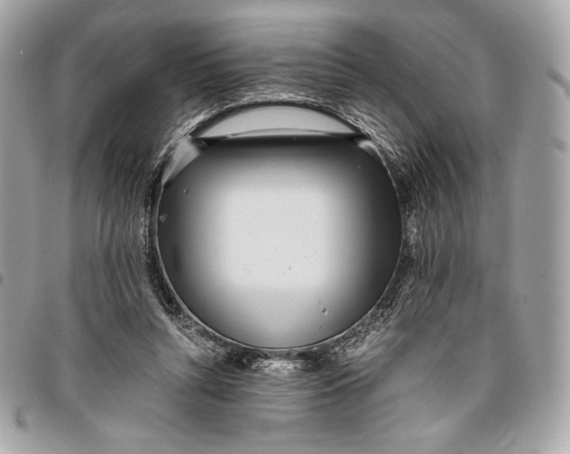 X0000096420352200802071708