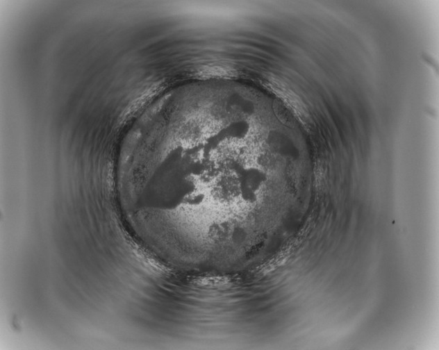 X0000096420353200802071708