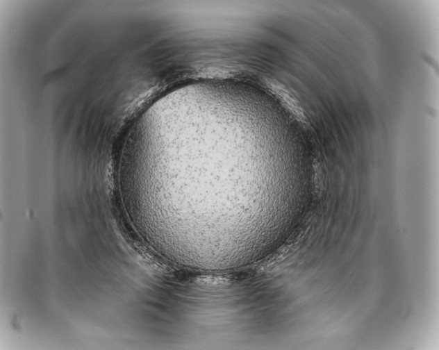 X0000096420354200802071708