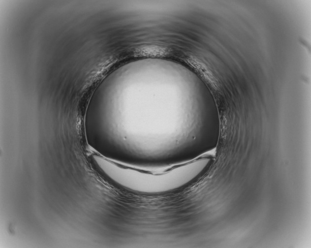 X0000096420355200802071708