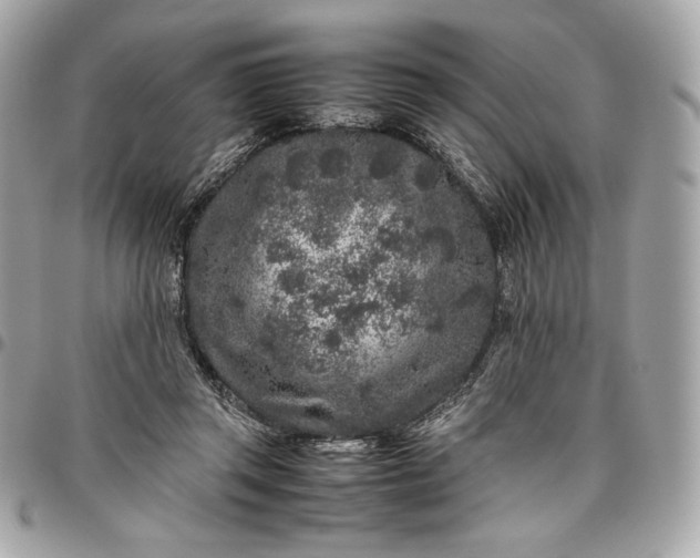 X0000096420357200802071708